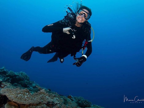 Eleuthera Plongee - Fun Dives - 2 Tanks | Fun Dives | OLD eDivingPass