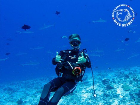 Dive Spirit Fakarava - Fun Dives 2 Tanks | Fun Dives | OLD eDivingPass