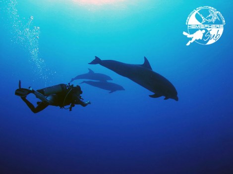 HemisphereSub Raiatea - Fun Dives | Fun Dives | OLD eDivingPass