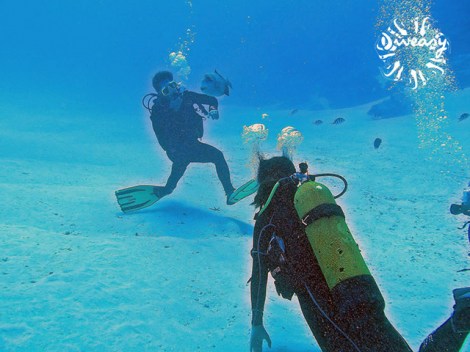 Diveasy Bora-Bora - Fun Dives | Fun Dives | OLD eDivingPass