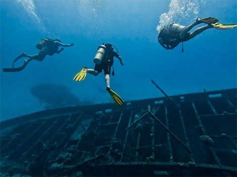 Activiseas - Fun Dives | Tahiti | OLD eDivingPass