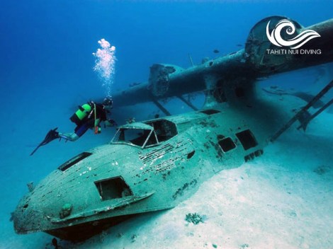 Tahiti Nui Diving - Fun Dives | Fun Dives | OLD eDivingPass