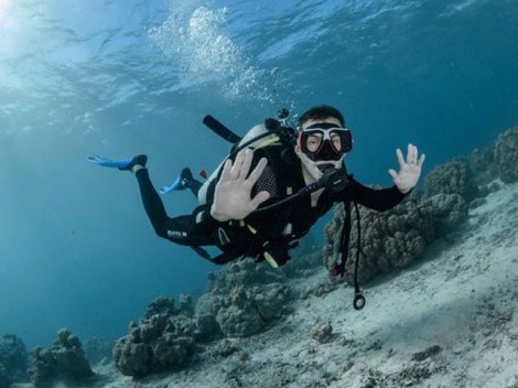 Coco Dive Tikehau - Fun Dives | Tikehau | OLD eDivingPass